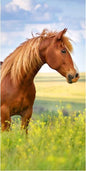 Paard handdoek 70x140 Duurzaam Katoen